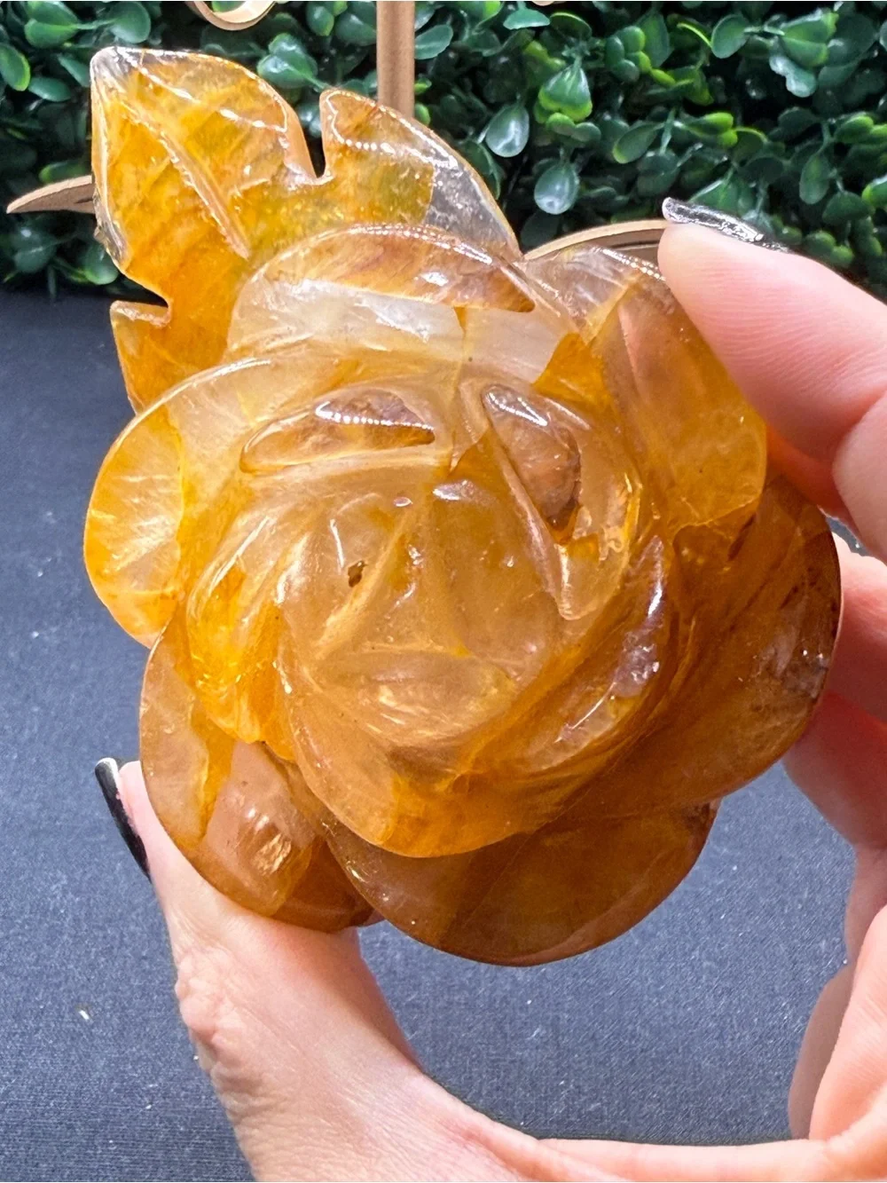 Beautiful Golden Healer Flower on Stand
